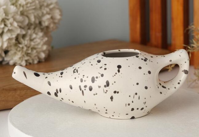 Neti Pot Wholesalers : Bulk Supply for Natural Health Businesses